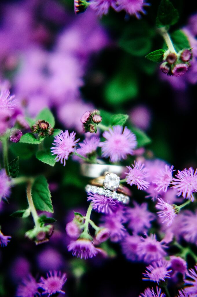 Detail portrait of engagement ring and wedding band in flowers