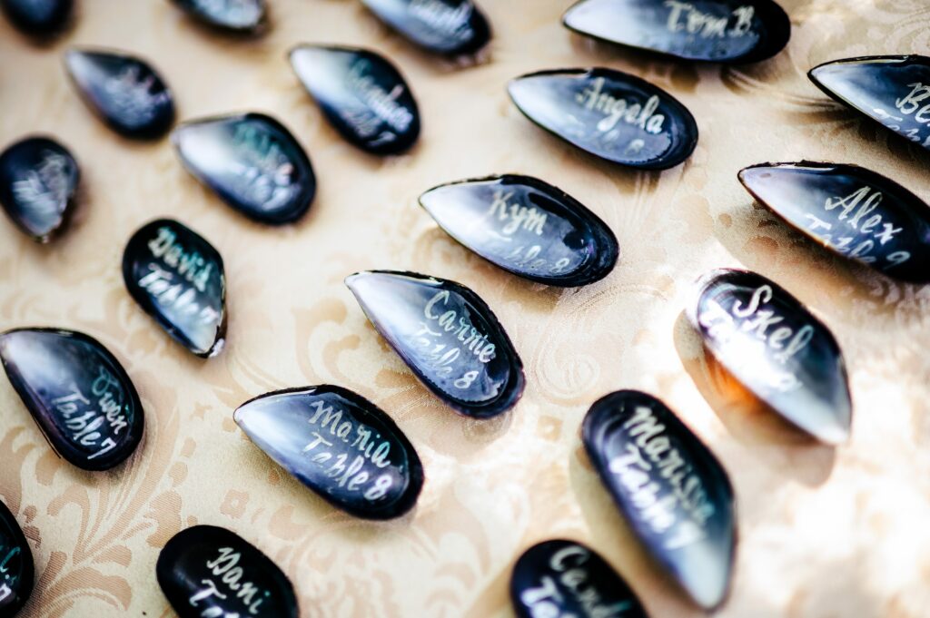 Escort cards handwritten on shells for Salem, MA wedding