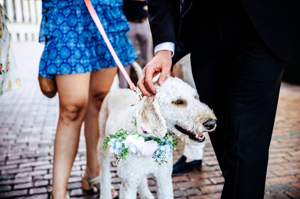 Casual elopement reception at Distraction and Democracy Beer Garden