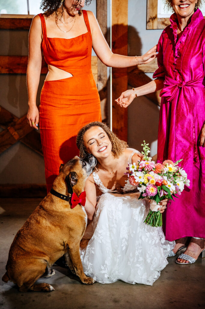 Dog kissing a bride in her wedding dress